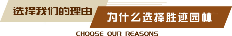 山东胜迹防raybet雷竞技入口腐木园林景raybet雷竞技app观工程有限公司(图3)