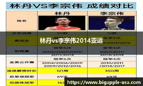 林丹vs李宗伟2014亚运