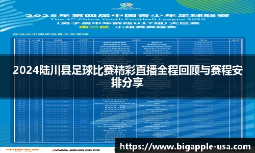2024陆川县足球比赛精彩直播全程回顾与赛程安排分享