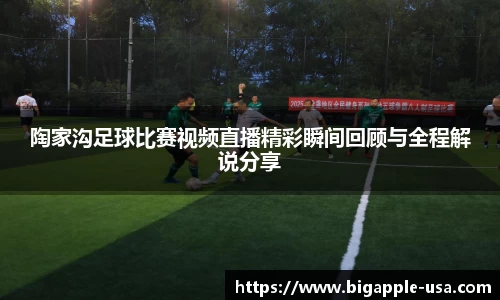 陶家沟足球比赛视频直播精彩瞬间回顾与全程解说分享